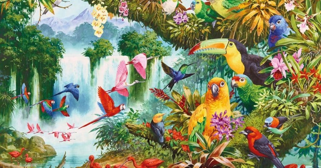 Flora and Fauna