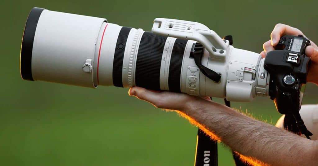 Pricing and Value Is the Nikon 180-600mm Worth the Investment